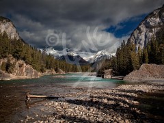 ALBERTA Bow River